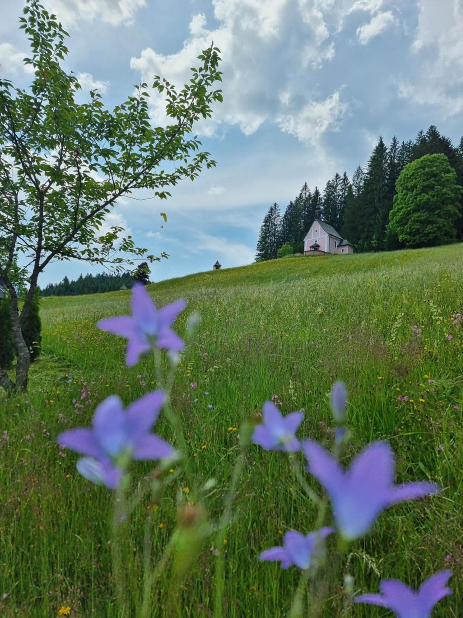 Kalvarienberg Appartement Gosau Exterior foto